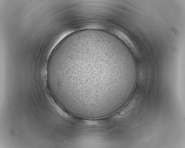 X0000115150852200911101727