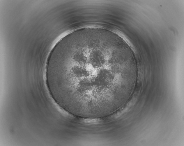X0000115150853200911101727