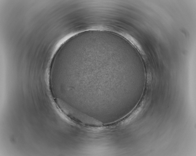X0000115150854200911101727