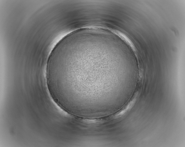 X0000115150855200911101727