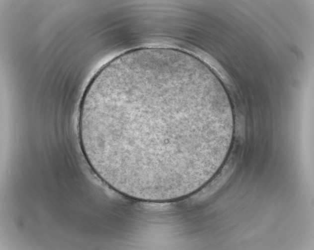 X0000115150856200911101727
