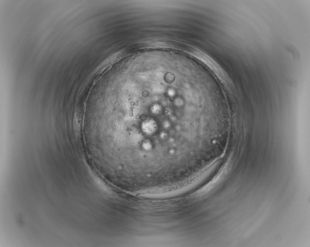 X0000115150857200911101727