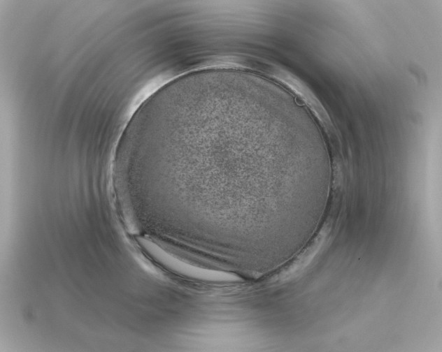 X0000115150858200911101727