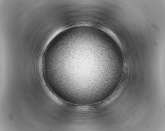 X0000115150859200911101727