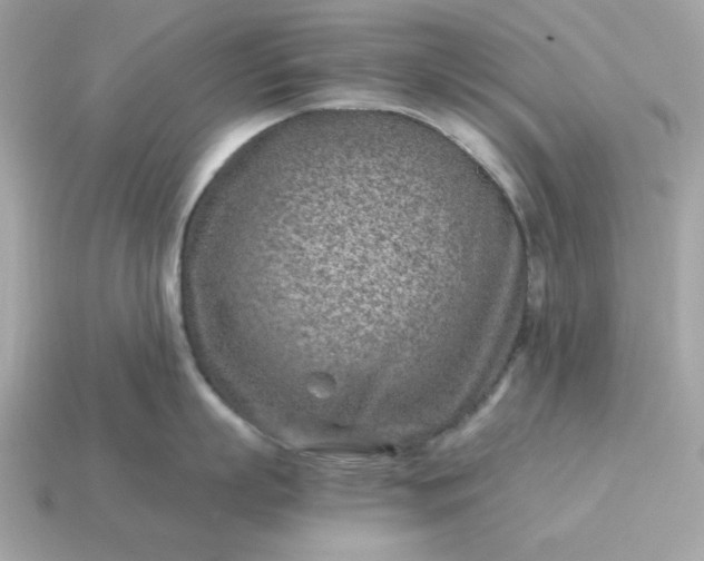 X0000115150863200911101727