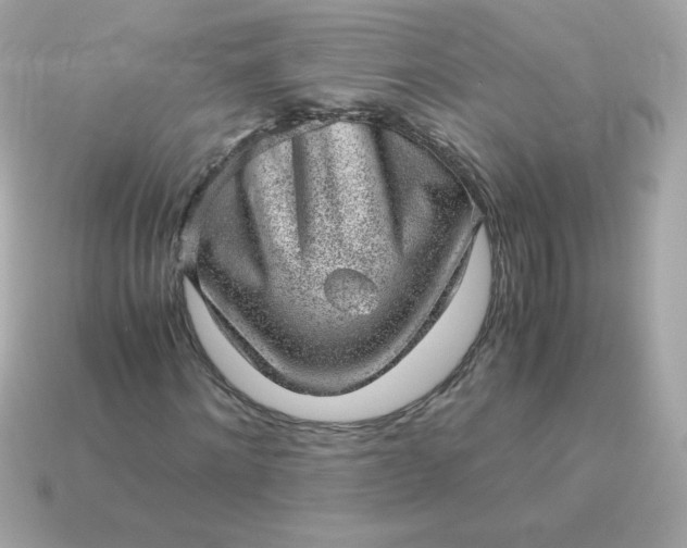 X0000115150868200911101727