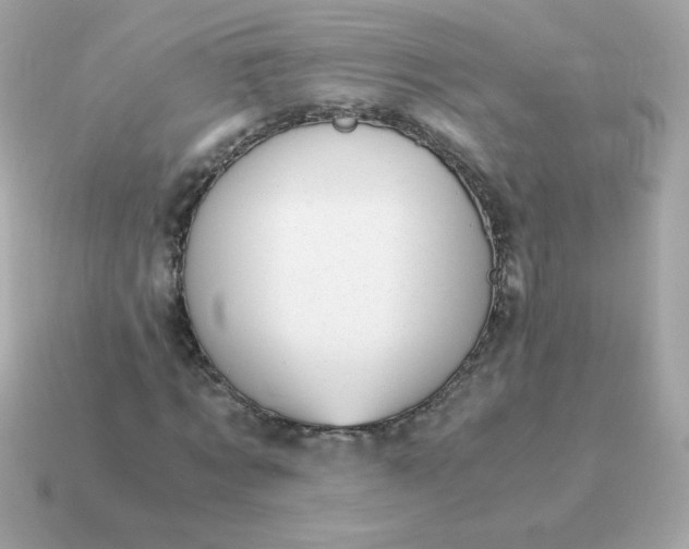 X0000115150869200911101727