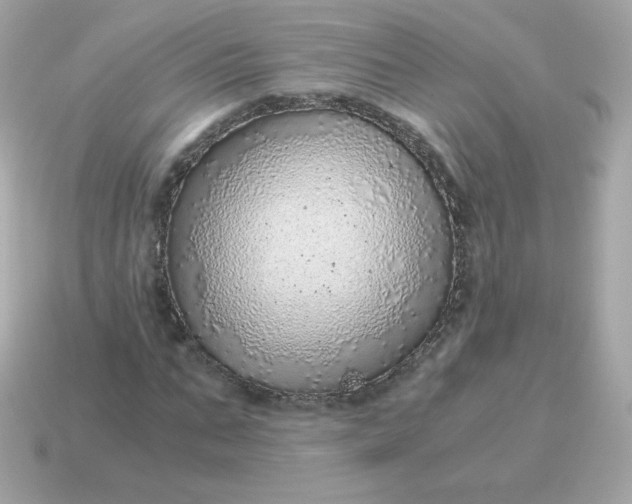 X0000115150871200911101727