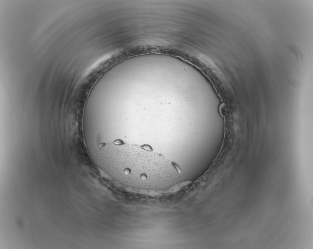 X0000115150872200911101727