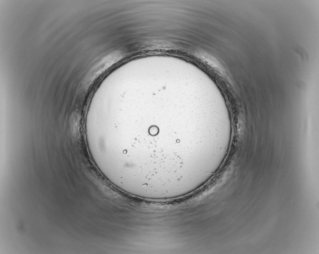 X0000115150873200911101727