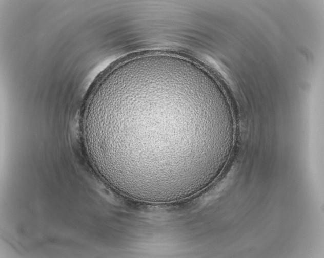 X0000115150875200911101727