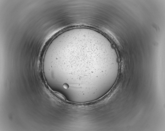 X0000115150876200911101727