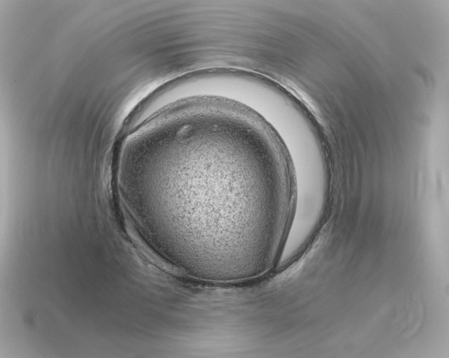 X0000115150877200911101727