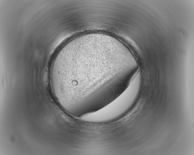 X0000115150878200911101727