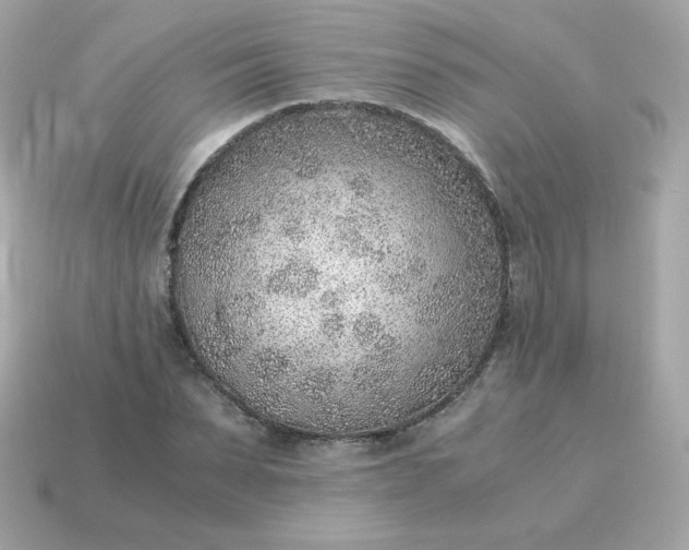 X0000115150879200911101727