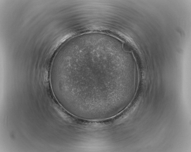 X0000115150881200911101727