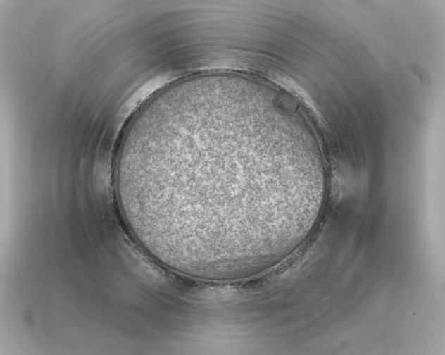 X0000115150882200911101727