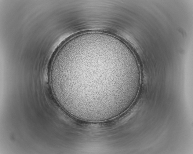 X0000115150883200911101727