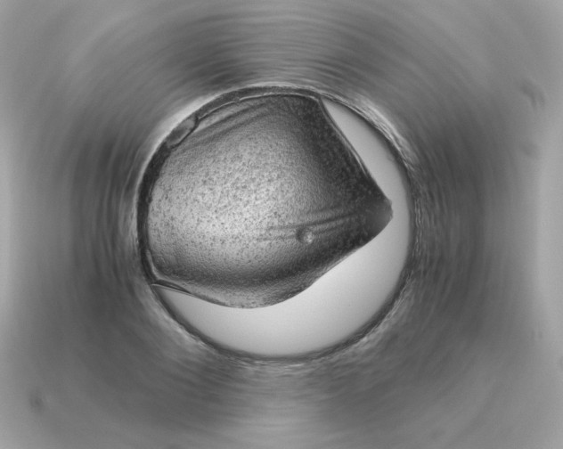 X0000115150884200911101727