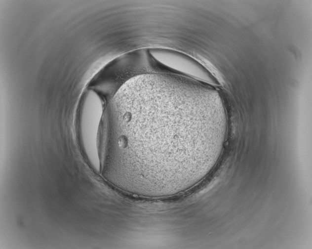 X0000115150885200911101727