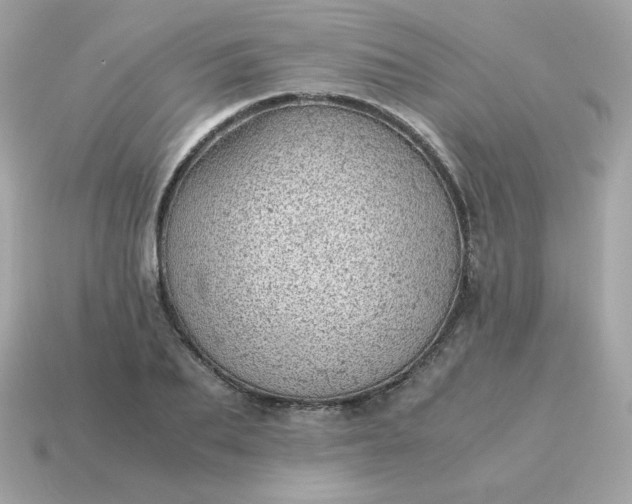 X0000115150887200911101727