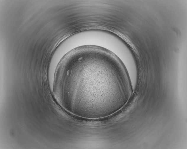 X0000115150889200911101727