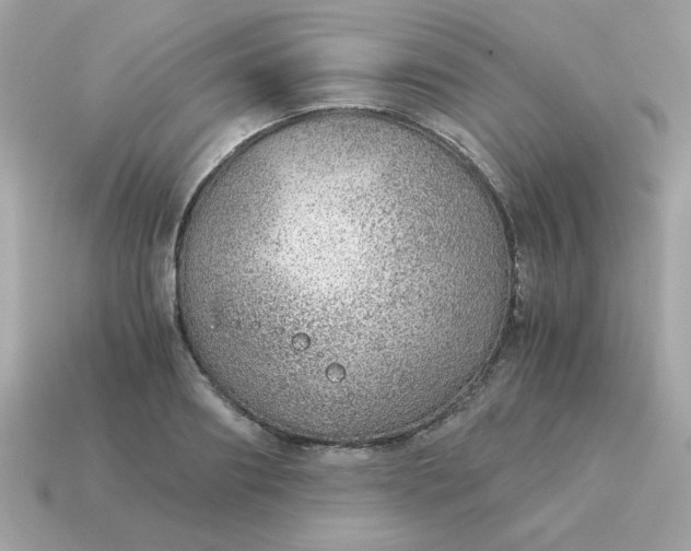 X0000115150890200911101727