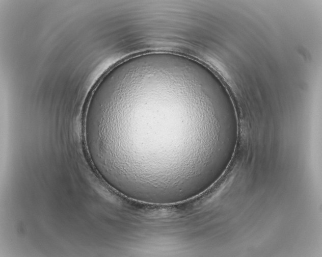 X0000115150891200911101727