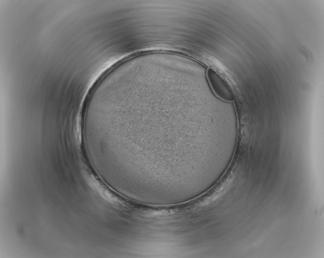 X0000115150892200911101727