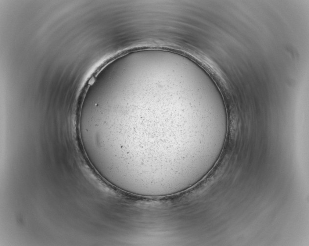 X0000115150896200911101726