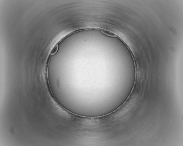 X0000115150901200911101726