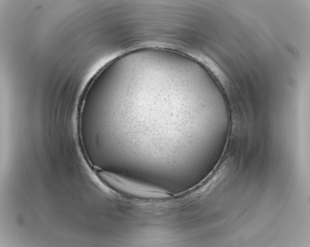X0000115150902200911101726