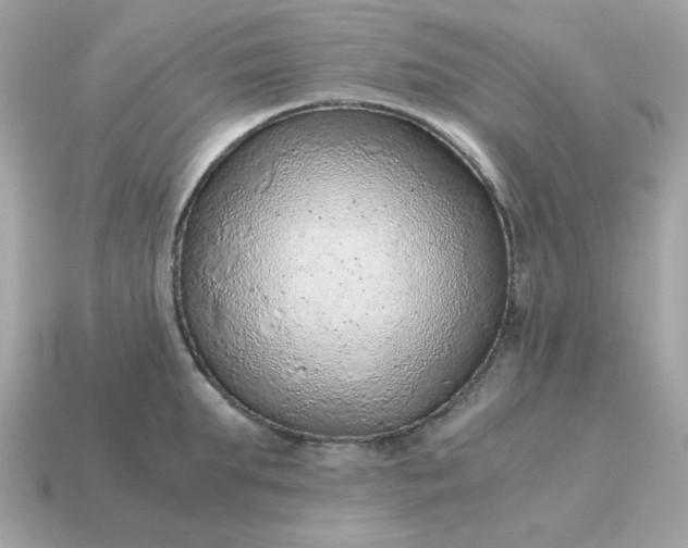 X0000115150903200911101726
