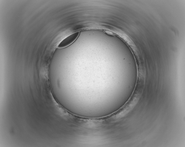 X0000115150905200911101726
