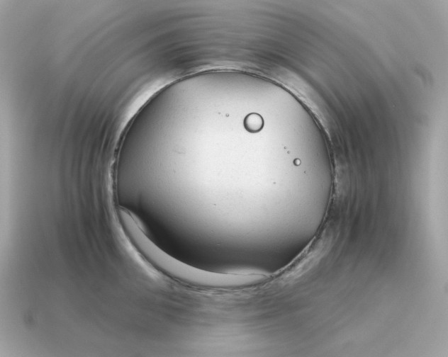 X0000115150906200911101726