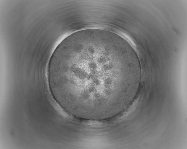 X0000115150907200911101726