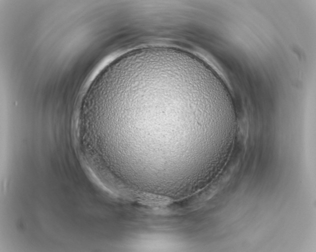 X0000115150911200911101726