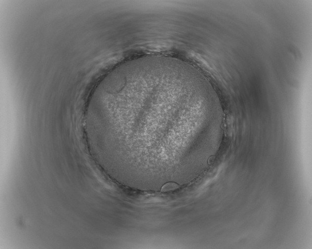 X0000115150913200911101726