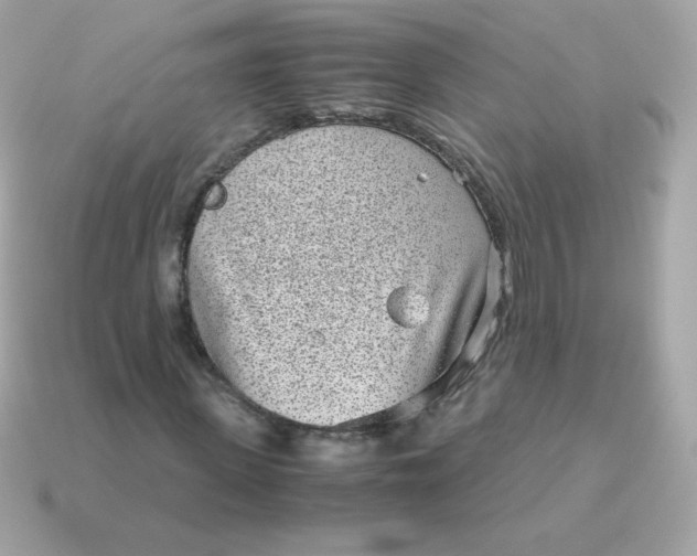 X0000115150915200911101726