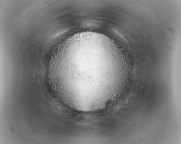 X0000115150917200911101726