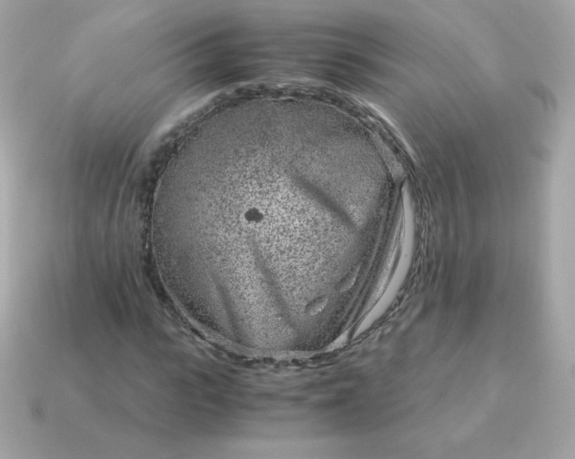 X0000115150919200911101726