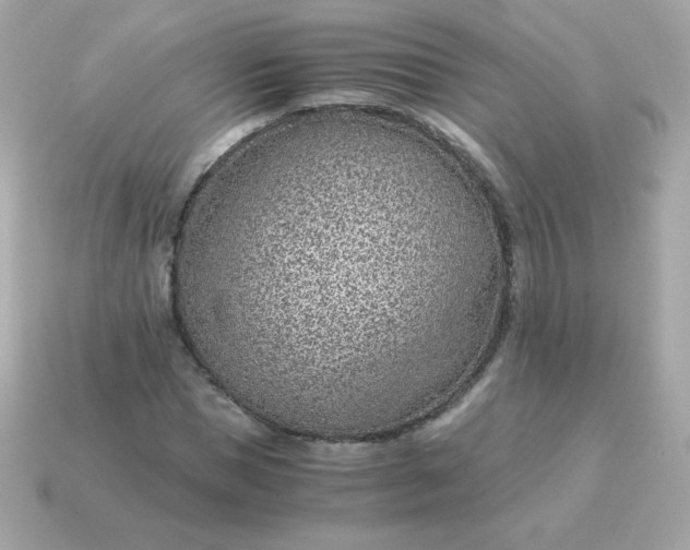 X0000115150921200911101726