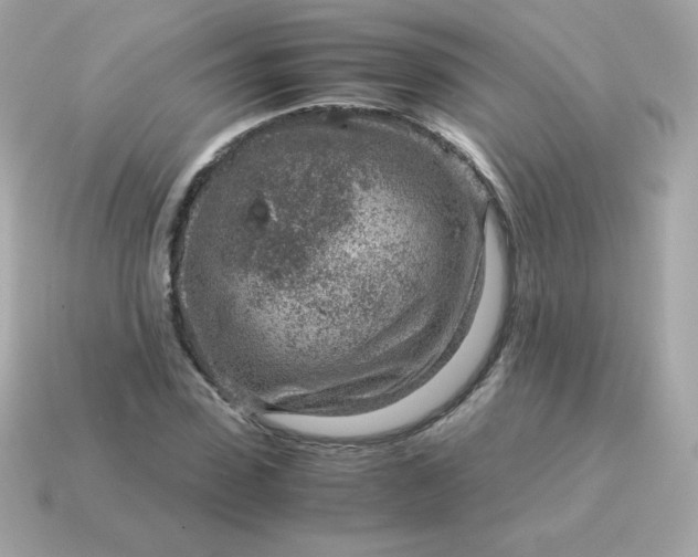 X0000115150923200911101726