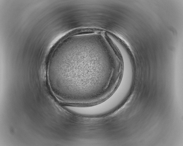 X0000115150925200911101726
