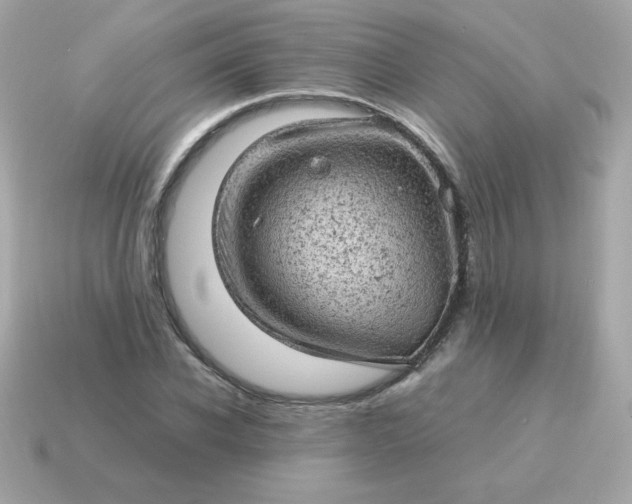 X0000115150926200911101726