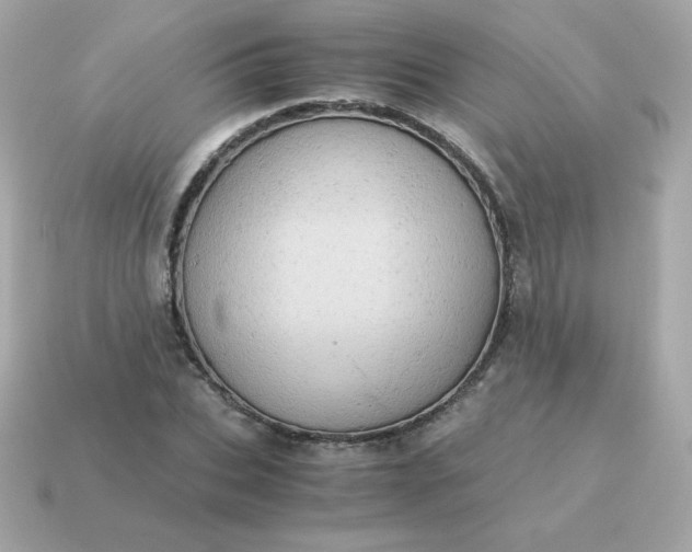 X0000115150927200911101726