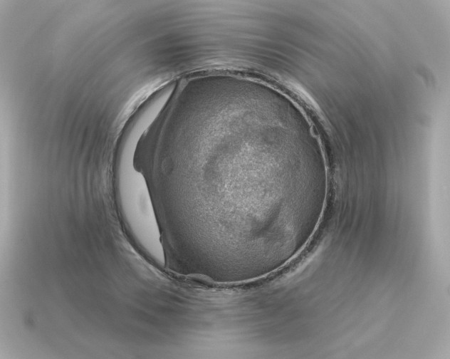 X0000115150930200911101726