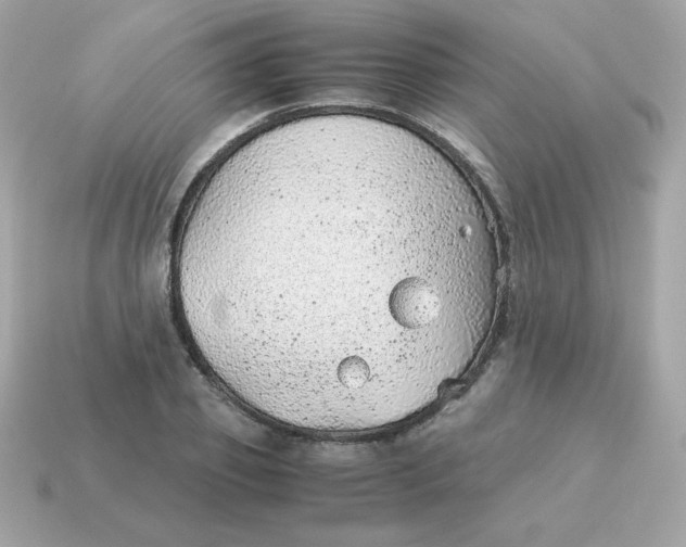 X0000115150933200911101726