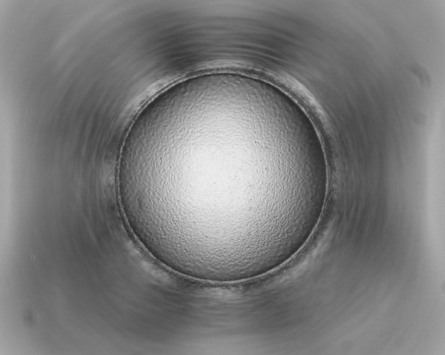 X0000115150937200911101726
