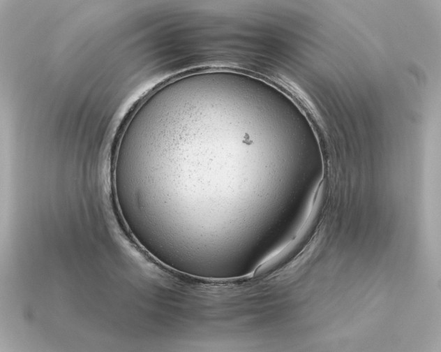 X0000115150939200911101726